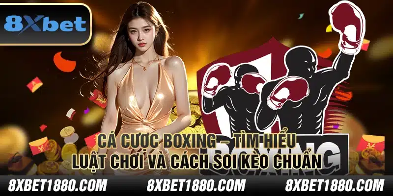 Cá cược boxing – Tìm hiểu luật chơi và cách soi kèo chuẩn
