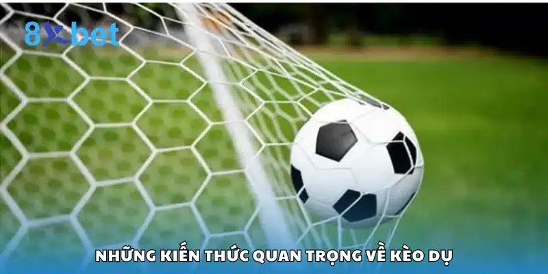 Những kiến thức quan trọng về kèo dụ