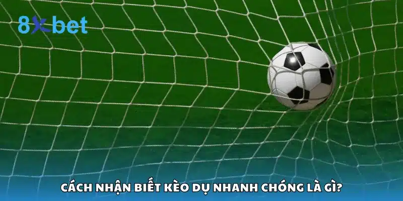 Cách nhận biết kèo dụ nhanh chóng là gì?